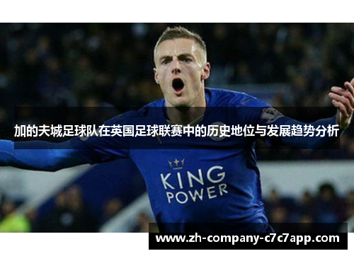 加的夫城足球队在英国足球联赛中的历史地位与发展趋势分析