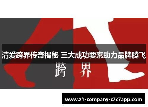 清爱跨界传奇揭秘 三大成功要素助力品牌腾飞