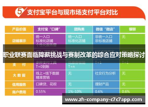 职业联赛面临降薪挑战与赛制改革的综合应对策略探讨