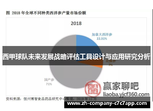 西甲球队未来发展战略评估工具设计与应用研究分析 西甲球队未来发展战略评估工具设计与应用研究分析